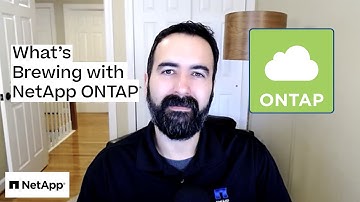 What is NetApp ONTAP? | What