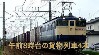 2019/07/21 JR貨物 新田踏切午前8時台貨物列車4本 5052レにネコロジーDDコンテナ