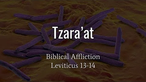 Cos'è la 'sarat' o la lebbra biblica? Levitico 13 e 14