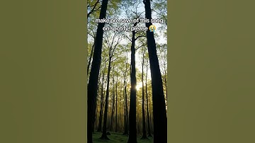 pre save my song on Spotify please