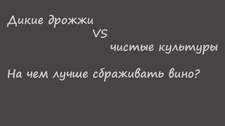 Дикие дрожжи vs чистые культуры. На чем сбраживать вино?