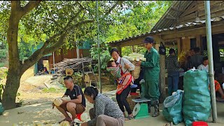 Download Lagu Single mother Tieu Ca with creative thinking both harvests and builds her own house MP3 Download Lagu Single mother Tieu Ca with creative thinking both harvests and builds her own house MP3