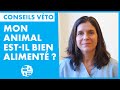 Top 5 veto  5 critres pour valuer si votre animal est bien nourri