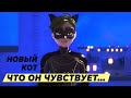 МЫСЛИ: НОВЫЙ КОТИК И ЕГО ВЫБОР В КУРО НЭКО Леди Баг и Супер Кот | Обзор причин