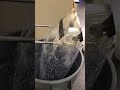 Want to see lab safety washes in action?!?! Thanks lab crew for letting me record and share!