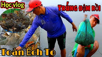 #87 Mùa Nước Nổi Chống Xuồng Lên Gò Đặt Lợp Ếch Mưu Sinh Chạy Toàn Ếch To Thấy Ham || Học vlog