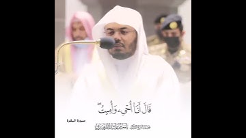 تلاوة قصيرة  ( ألم تر إلى الذي حآج إبراهيم في ربه )