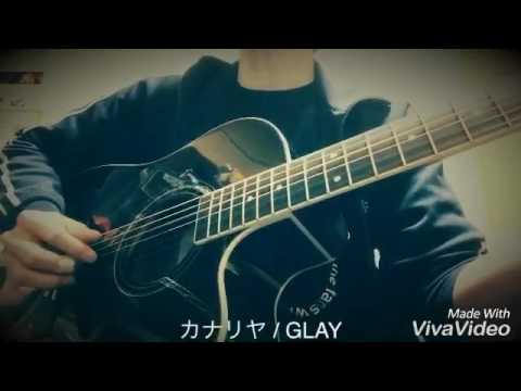 【cover song】しめじNo.57 カナリヤ / GLAY