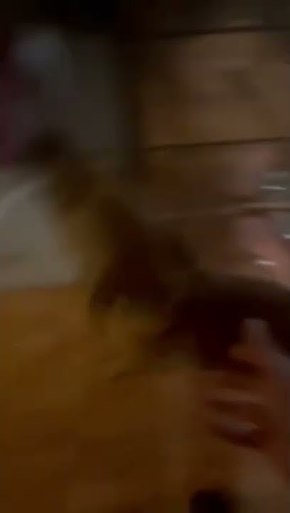 youtube.com