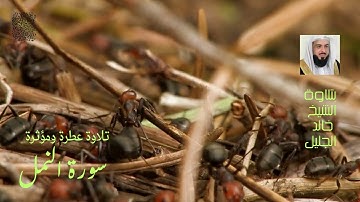 سورة النمل تلاوة جد مميزة للشيخ خالد بن فهد الجليل
