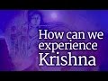 How can we experience krishna  sadhguru