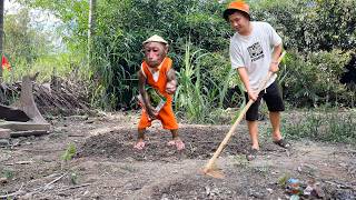 Farmer CUBIS Helps Dad Plant Vegetables – The Cutest Little Helper Ever! 🌱