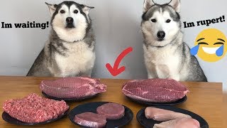 Huskies Review ALOT Of Raw Meat! [ASMR]