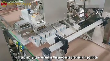 WIN-WIN PACK Side-loading Wrap Around Case Packer for Tetra Pak Milk Cartons #casepacker