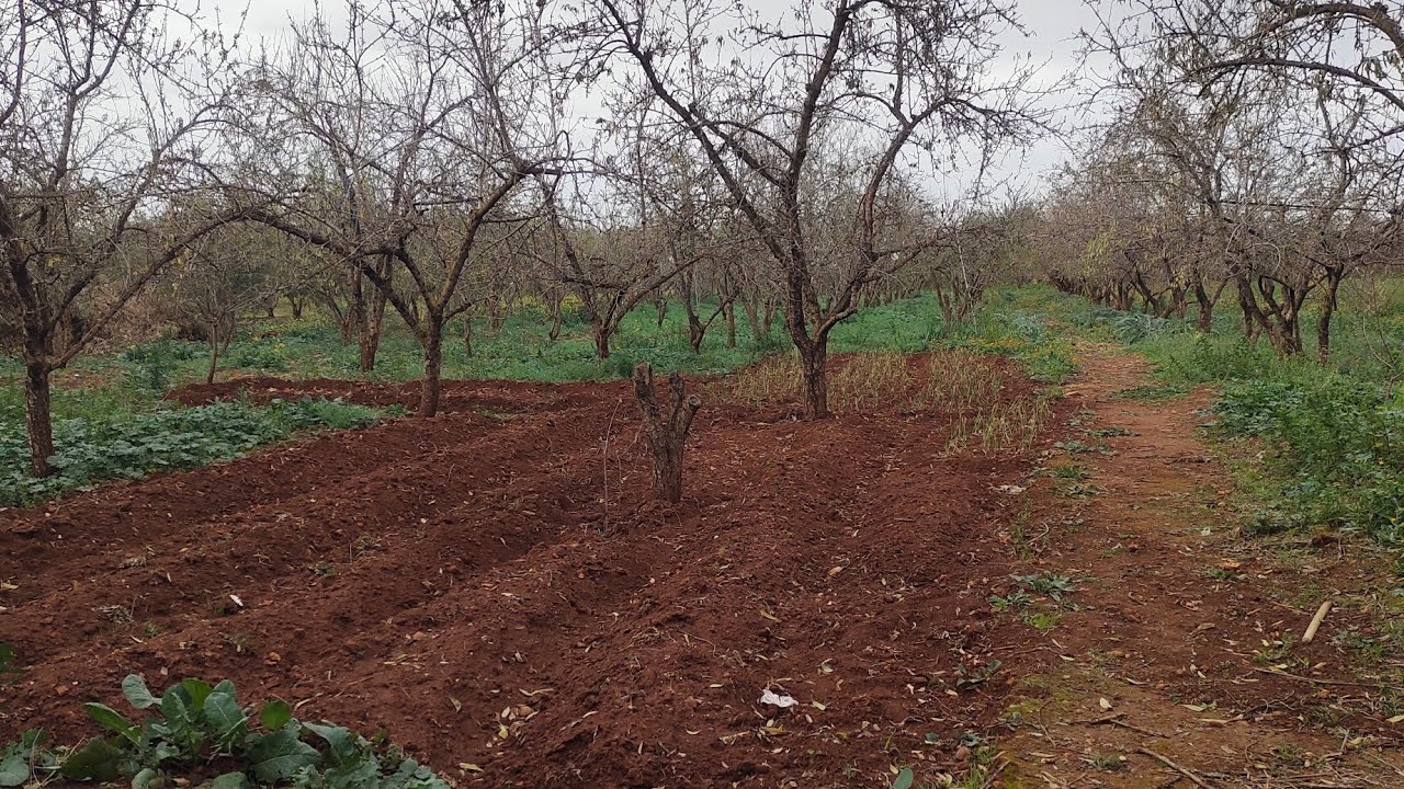 قيطعة أرضية  غزالة للبيع  2400م بعين تاوجطات فيها دار جماعة القصير تمن مناسب +الماء+الضوء 0613547341