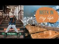 CHICAGO WEEK IN MY LIFE - Apartment Tours in the Loop & big news!