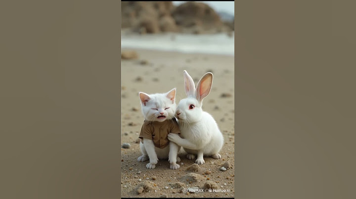 Lucky Cat #cat #aicat #funny #cute #foryou #catlover #animals #shorts #shortsfeed