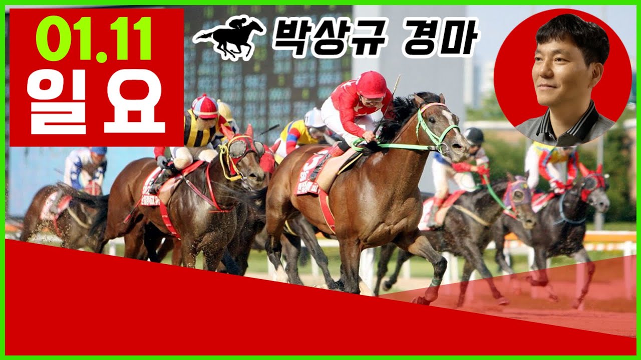 2026년 1월11일 일요 경마, 방송 보신분들 모두 좋은 결과 있기를 기원합니다.