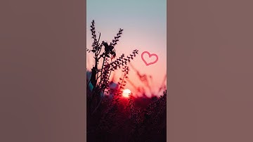 سورة الناس ـ القارئ أحمد العجمي🧡