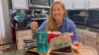 Samsplains The World Transplanting Your Indoor Sprouts And Glamming Up Bigger Pots