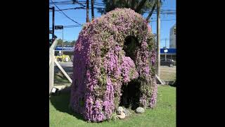 VideoGren Wall. Vertical Garden. Green Habitat USA.