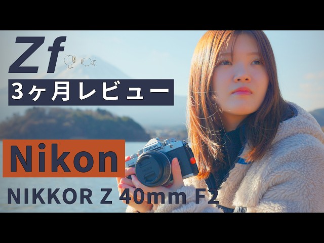 Nikon Zf Review: Thoughts after 3 Months of Use | Recommended