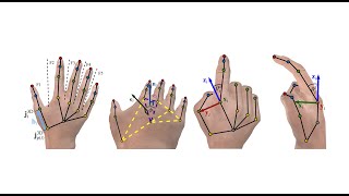Weakly Supervised 3D Hand Pose Estimation via Biomechanical Constraints