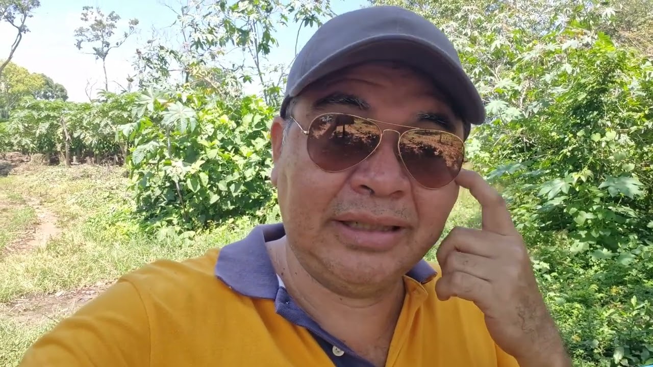 Los Precios de Café Subirá Brasil Tiene Problemas Con El Clima No vendan café a Futuro.