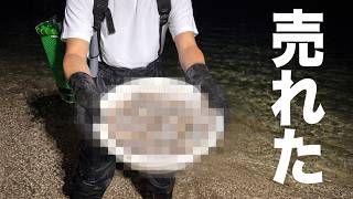 魚より高価な生物が大漁に獲れたのでお店に売ったら驚きの金額に…【夜の潮干狩り】