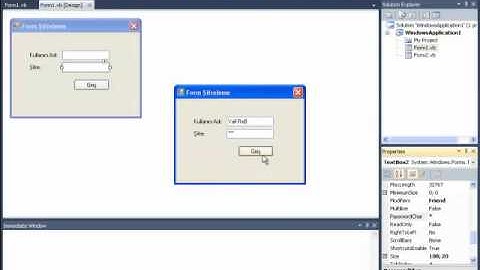 VB.Net - Form Şifreleme