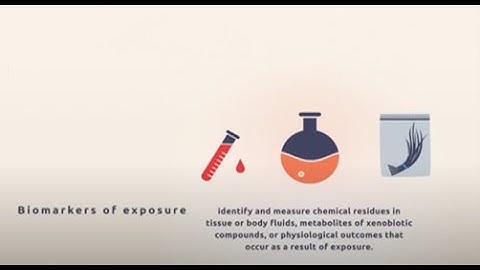 Introduction to toxicokinetics and toxicodynamics