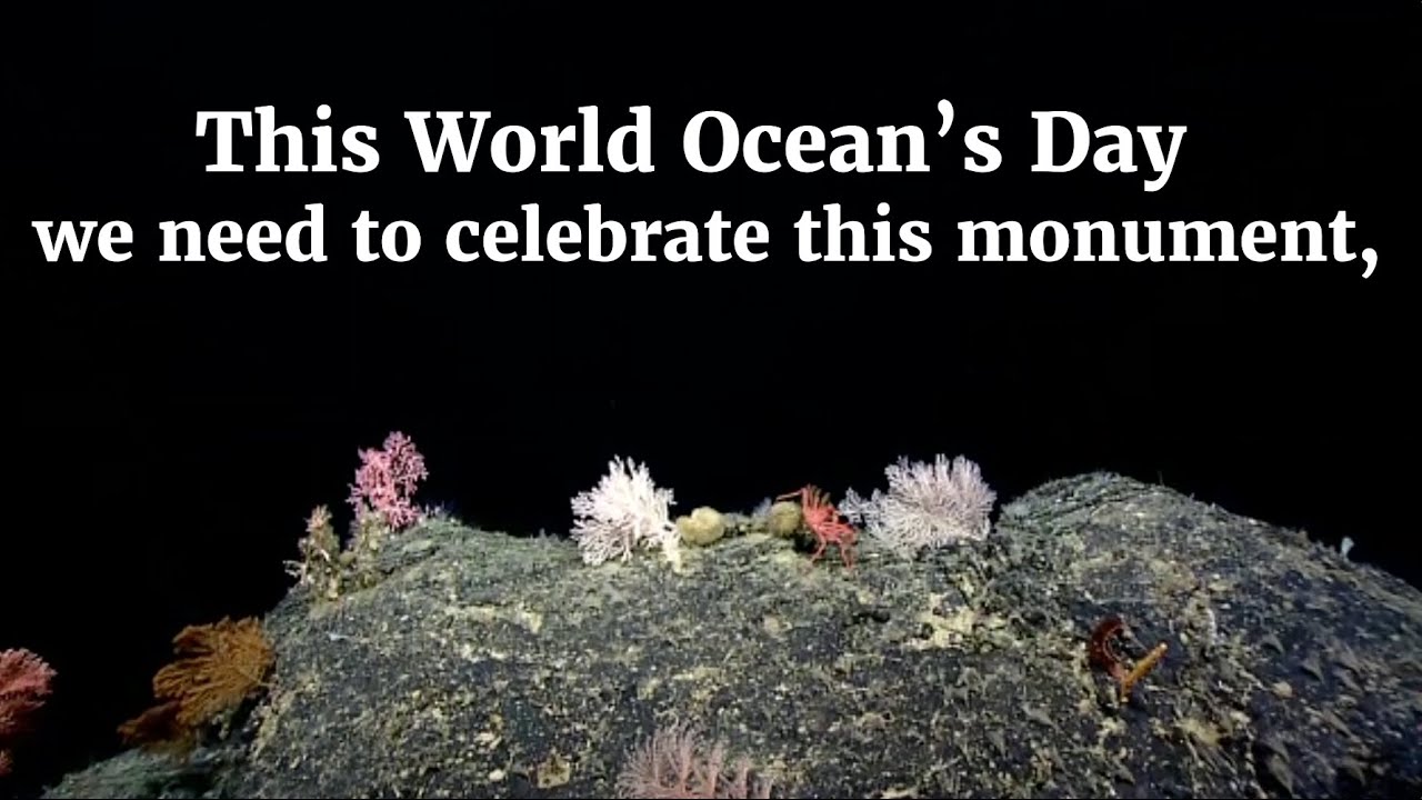 Happy World Oceans Day!