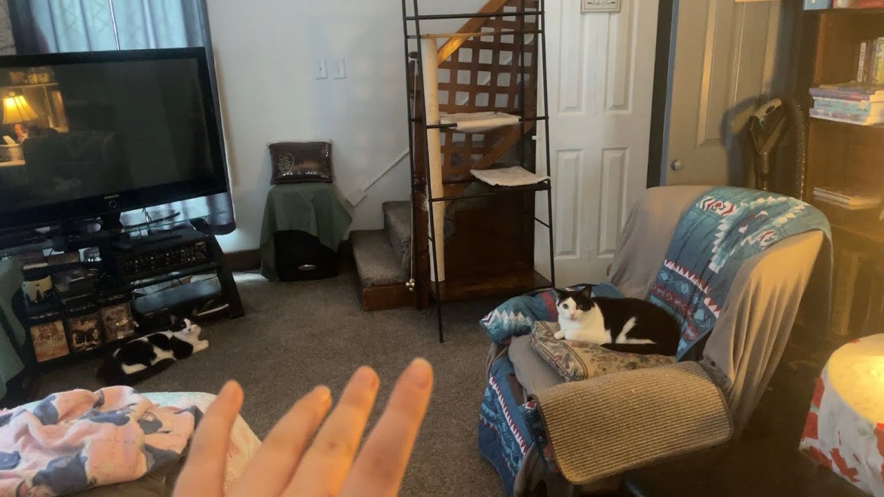 ASMR | Tapping Around Where I Cat Sit (scratching, camera tapping, mouth sounds)