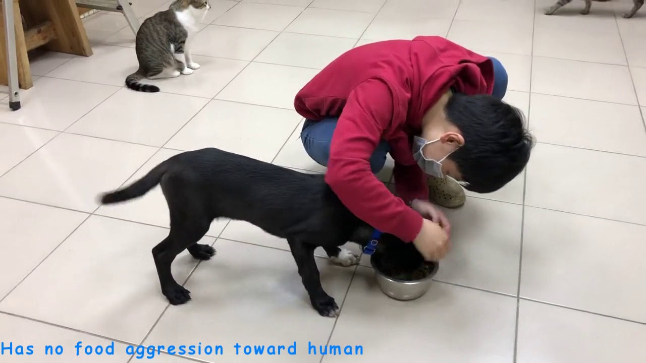 Parlon Profile&Album