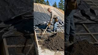 I made bunker in beachside house backyard #viral #housebuilding