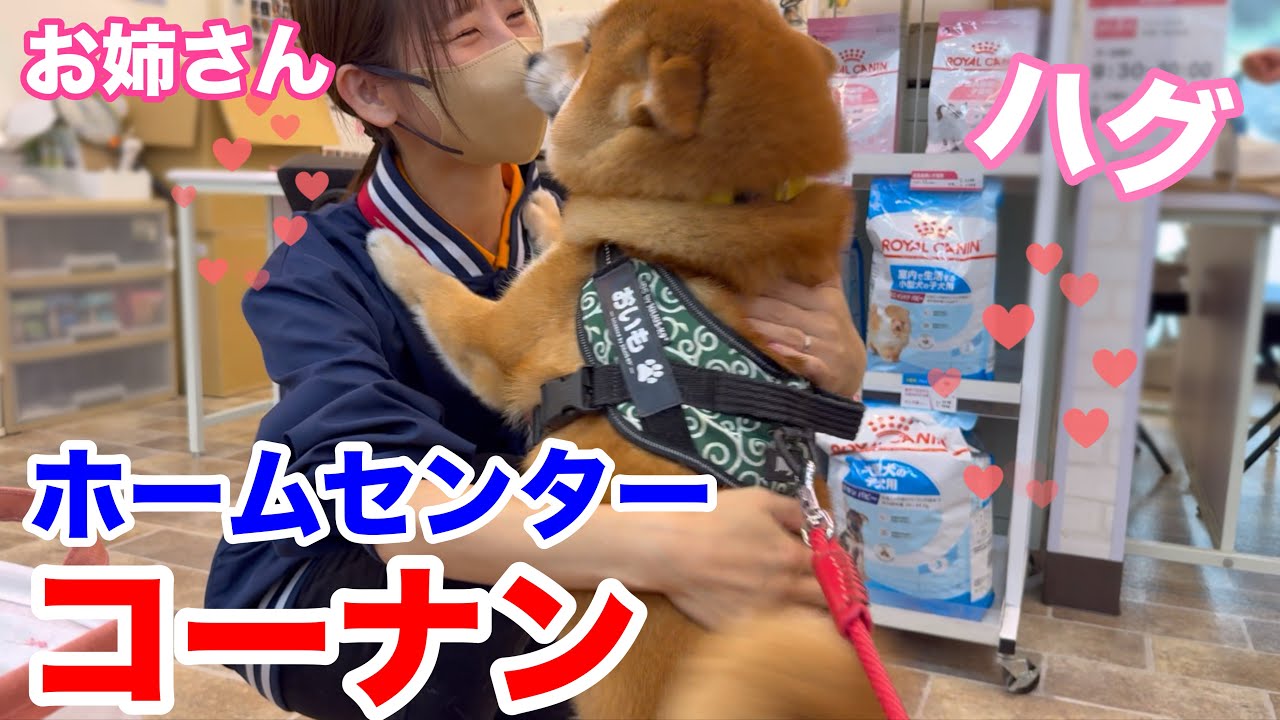 お姉さんとハグ♪ホームセンターコーナン