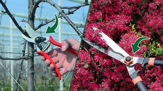 Garden Shears vs Pruning Shears: Which Tool is Right for Your Garden?