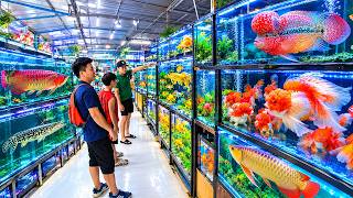 I Found a HUGE Aquarium Shop So Many Exotic Fish!