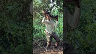 INDIAN ROCK PYHTON- PYTHON MOLURUS