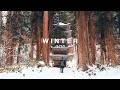 We Traveled To Tohoku Japan In Deep Winter Yamagata And Fukushima We Traveled To Tohoku Japan In Deep Winter Yamagata And Fukushima