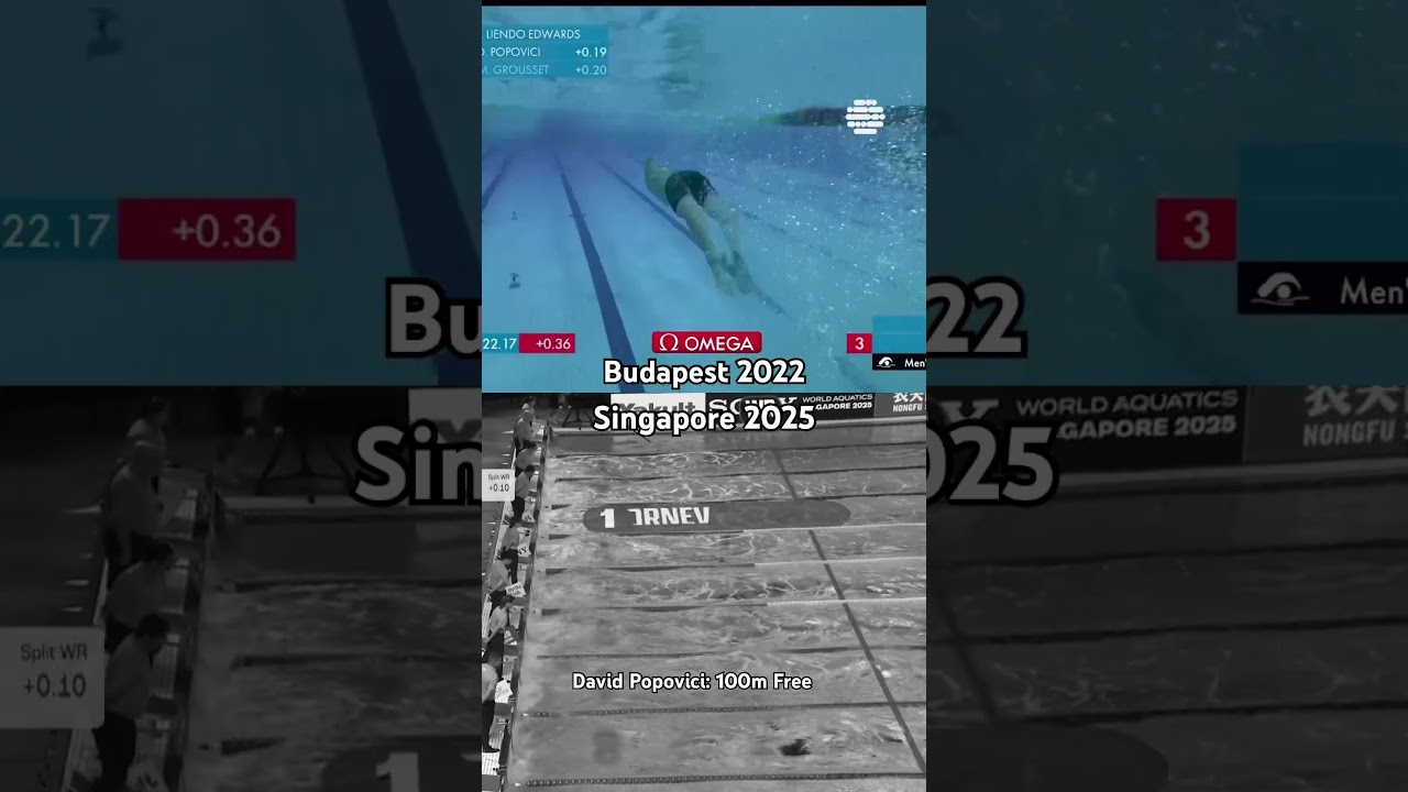100m Freestyle masterclass from David Popovici 🇷🇴 #swimming #freestyle #masterclass