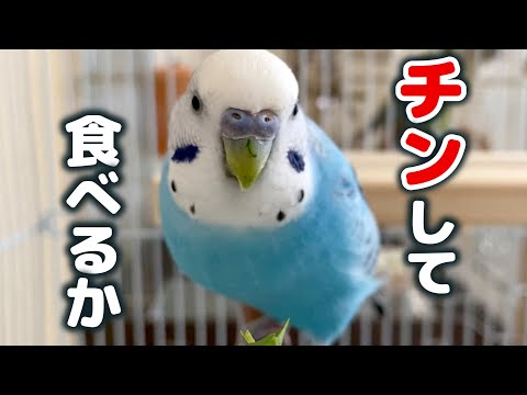 ぬた2. 