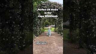 24 Hours in the Cape Winelands | South Africa Travel Blog