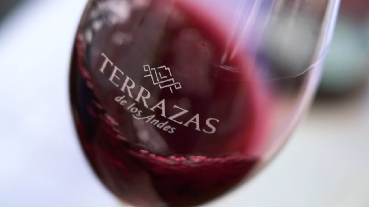 Moët Hennessy Unveils Two New Wines From Terrazas De Los Andes –