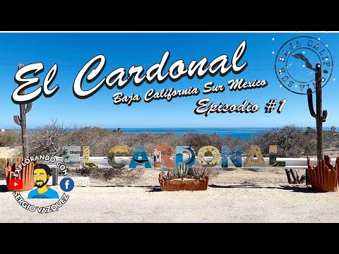 EL CARDONAL Baja California Sur Mexico un Paraiso Rodeado de Playas y Montañas Episodio#1