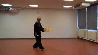 Yang Taiji Fan 18