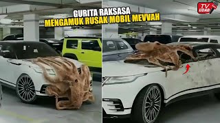 Gurita Raksasa Ngamuk Hancurkan Mobil Mevvah !! Warga Histeris Tak Ada Yang Berani Menangkapnya...