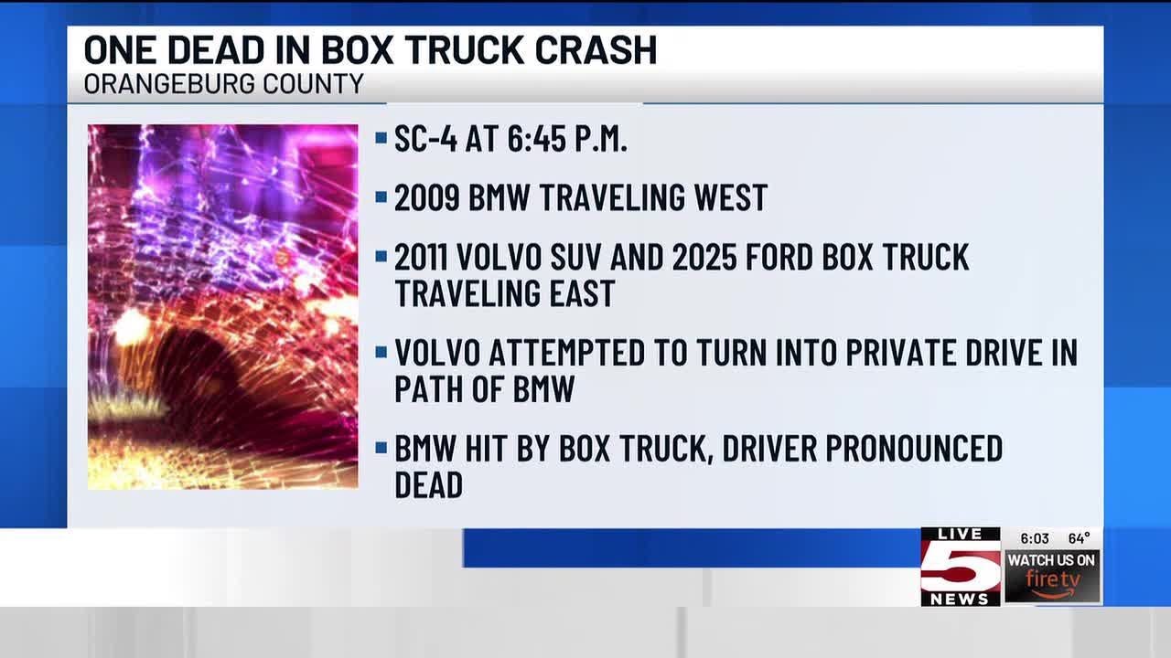 VIDEO: 1 dead in Orangeburg County box truck crash