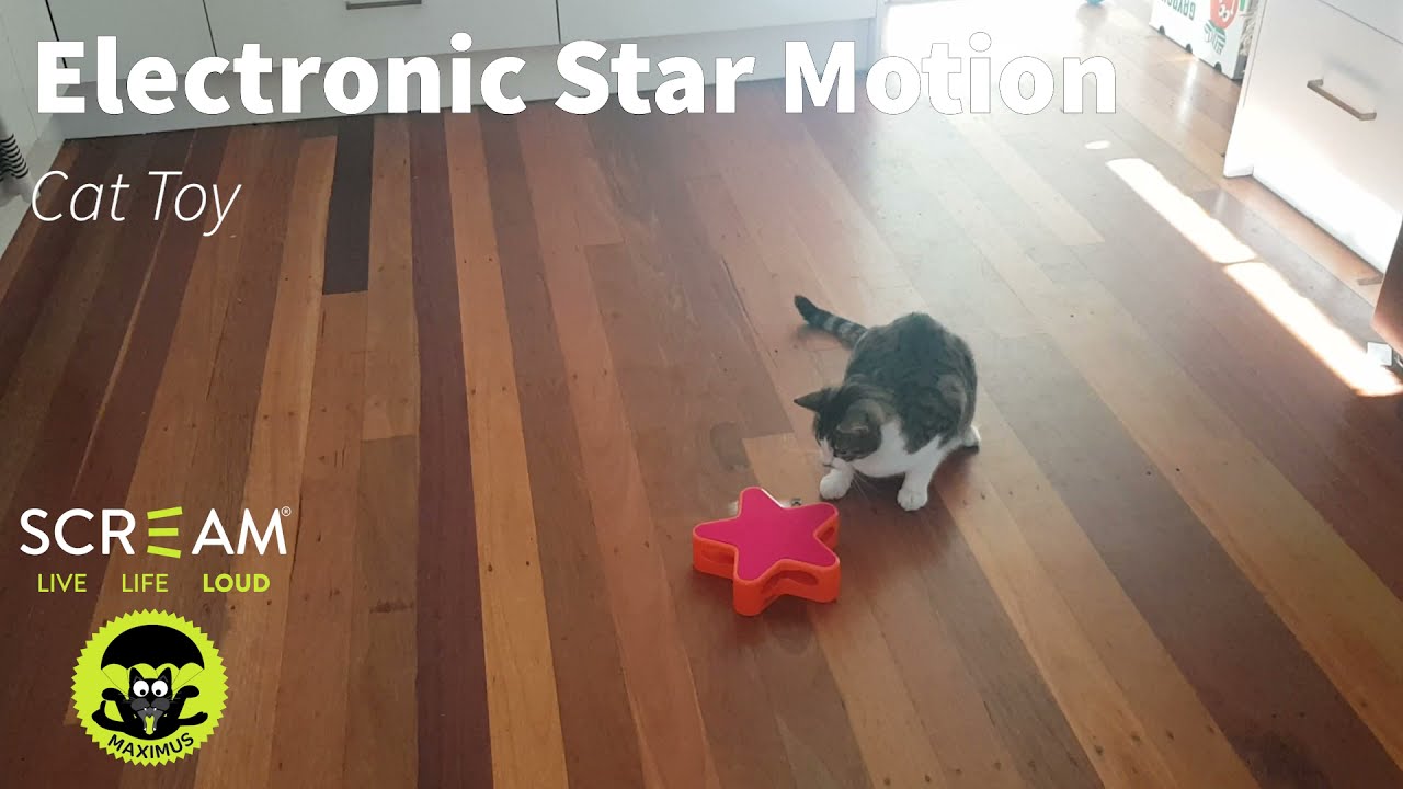 SCREAM ELECTRONIC STAR MOTION CAT TOY
