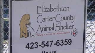 Carter County sheriff candidates discuss animal shelter